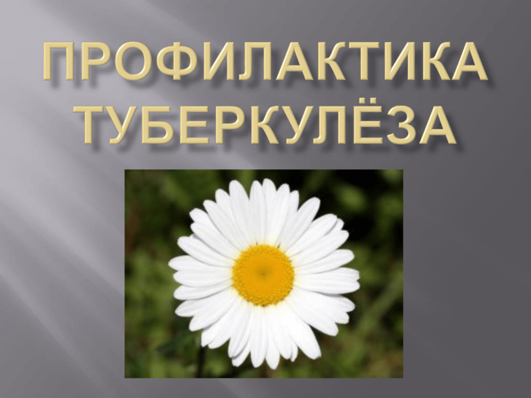 Основа профилактики туберкулеза – флюорография..