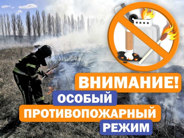Об установлении особого противопожарного режима на территории Воронежской области.
