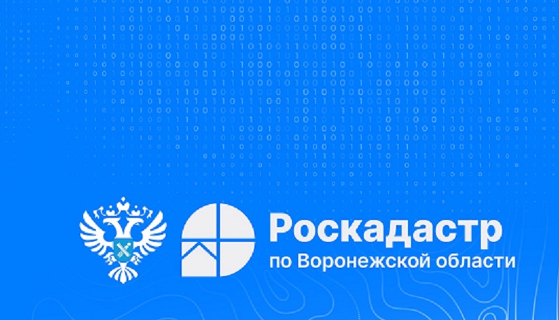 Информация Роскадастра.