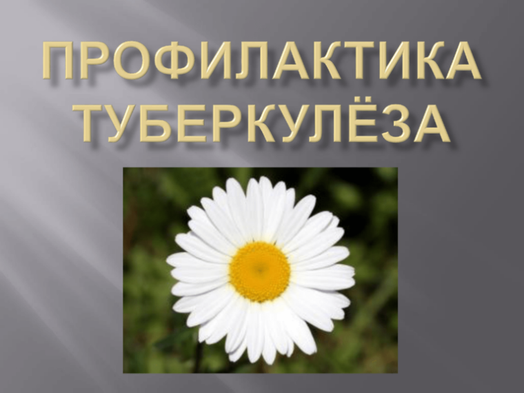 Основа профилактики туберкулеза – флюорография.. Основа профилактики туберкулеза – флюорография..